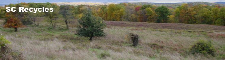 field with bushes
