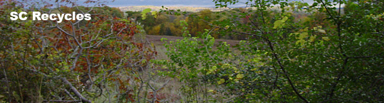 field with berry bushes