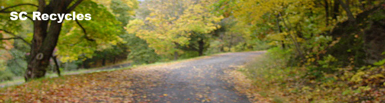 country road with autumn trees
