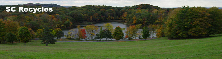 trees around a pond